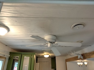 981ceilinglr.jpg